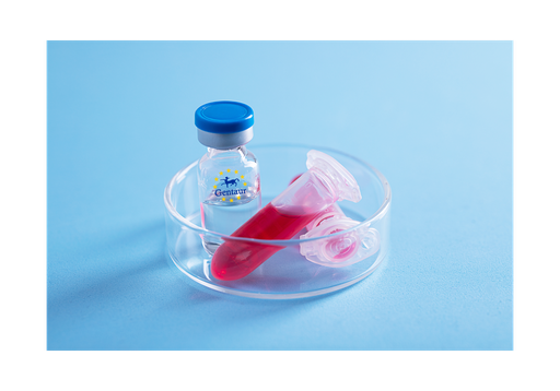 [GEN - PYT309-5ug] RELM a Mouse