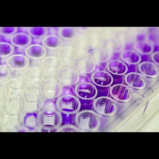 [0544-MBS7236144-96T] CLEC4G elisa kit :: Human C type lectin domain family 4 member G  CLEC4G  ELISA Kit size: 96size:Stripsize:Wells