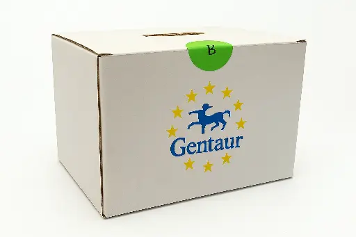 [0171-T4038] Human Primary Cardiac Fibroblasts